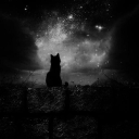 lonely_space_cat.